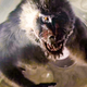 Illustration for article titled Ad Astra is a terrible movie. Do not watch it under any circumstances.